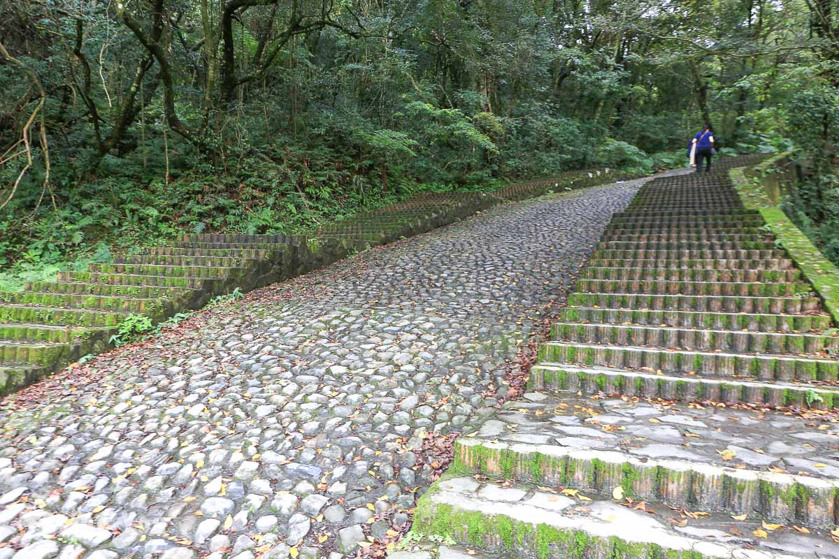 奧萬大賞鳥平台