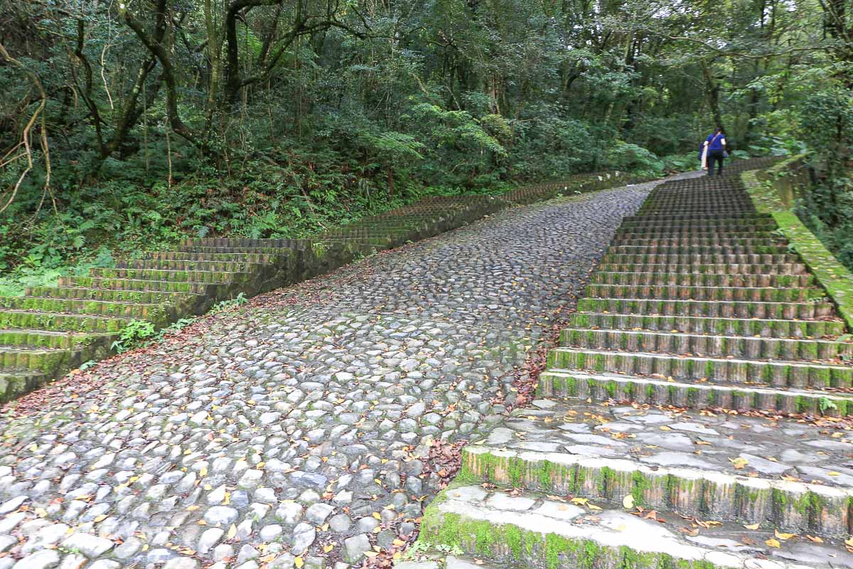 奧萬大賞鳥平台