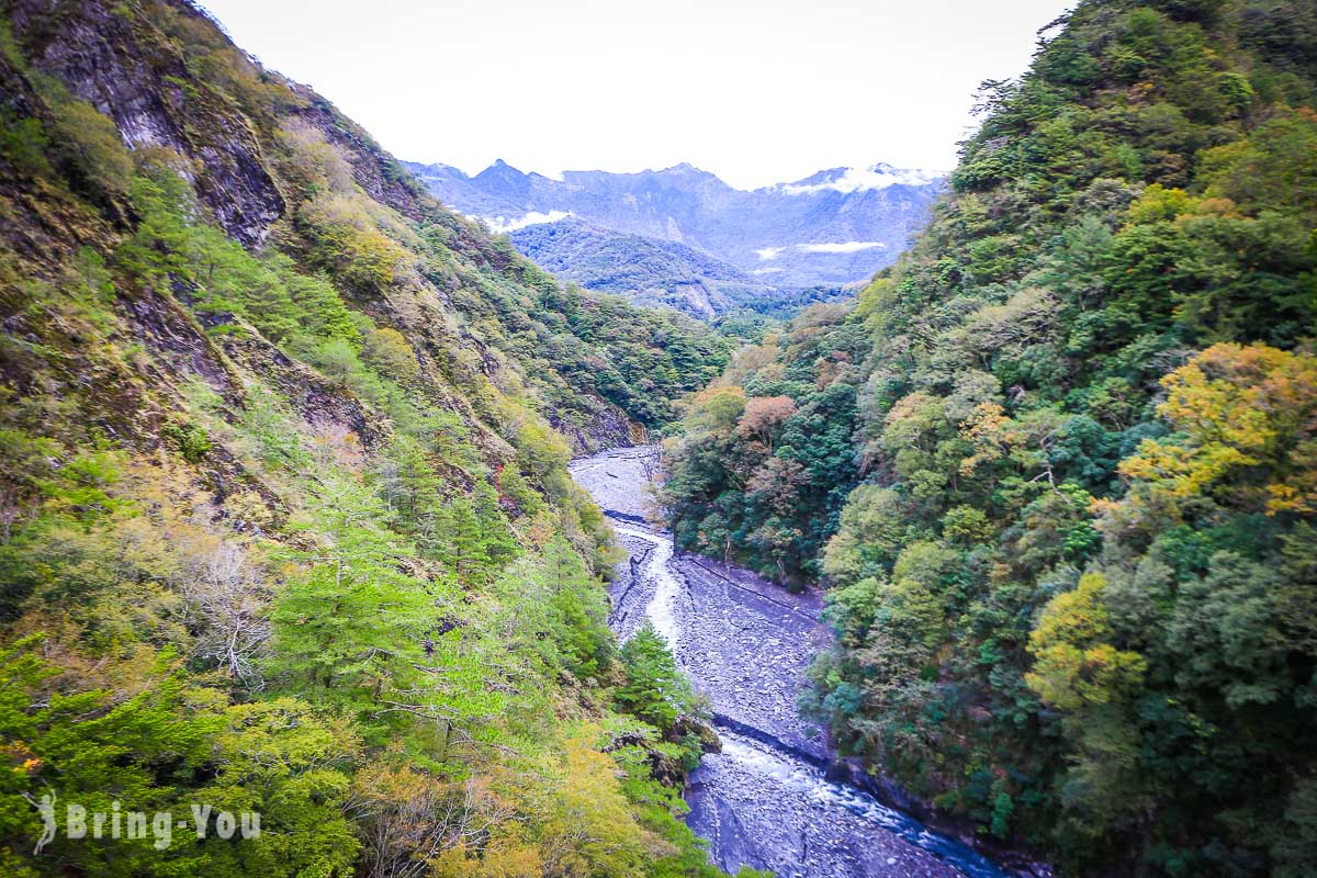 奧萬大吊橋