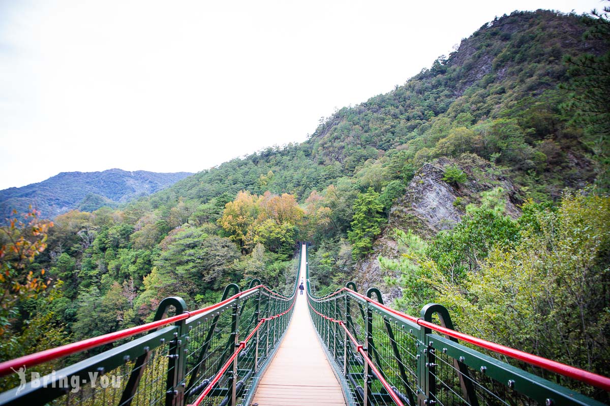 奧萬大吊橋