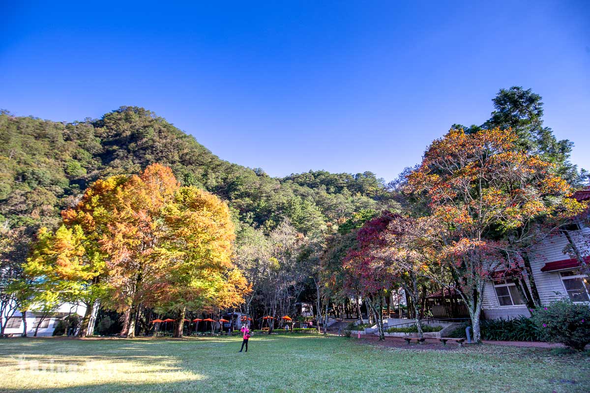 奥万大赏枫景点