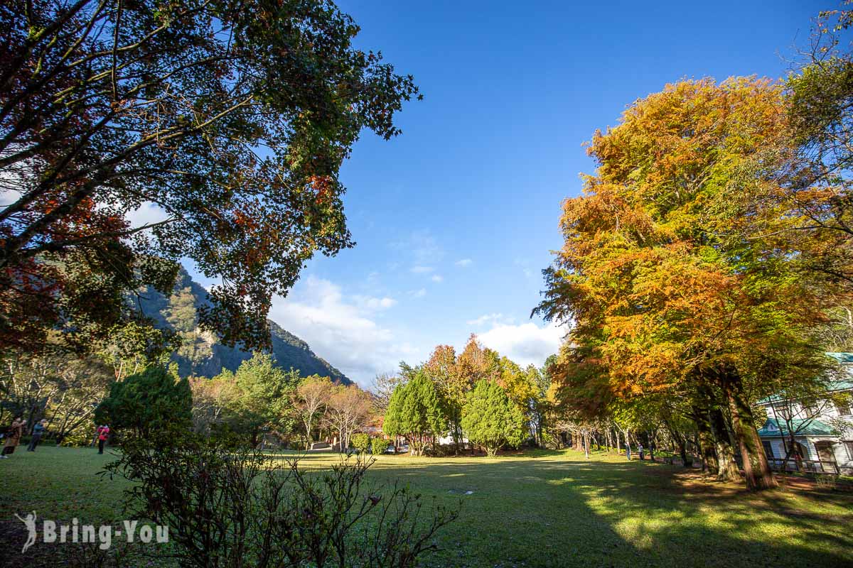 奥万大赏枫景点