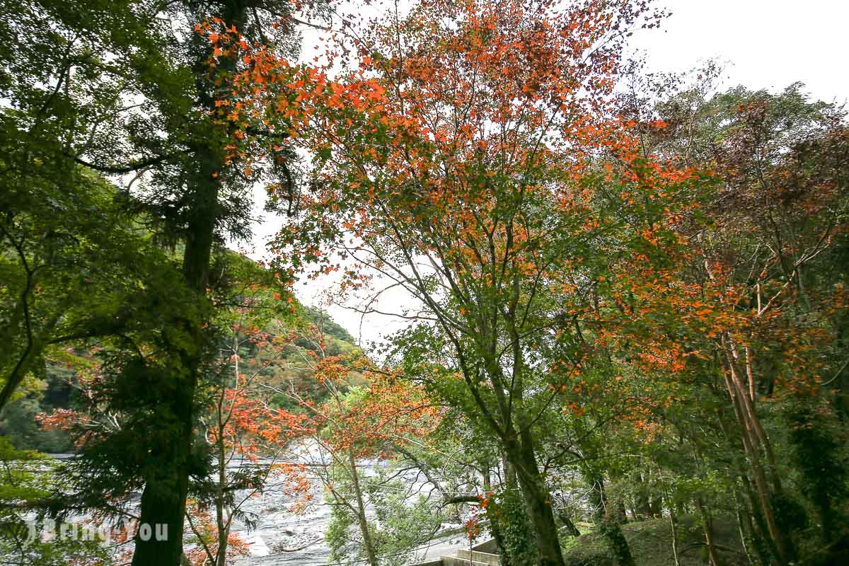 奥万大枫林步道