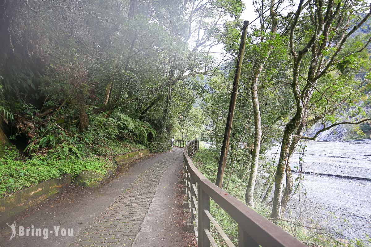 奧萬大楓林步道