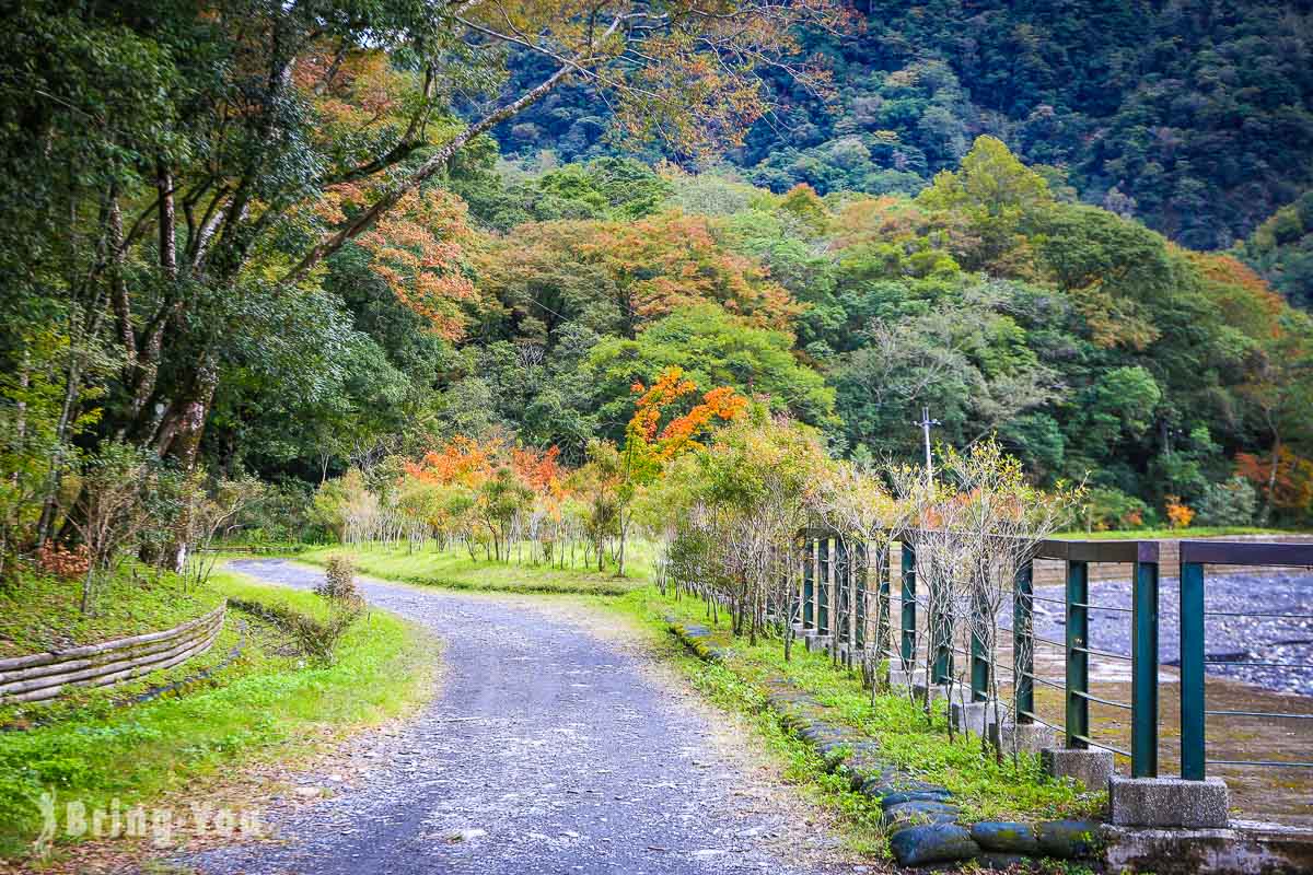 奥万大枫林步道