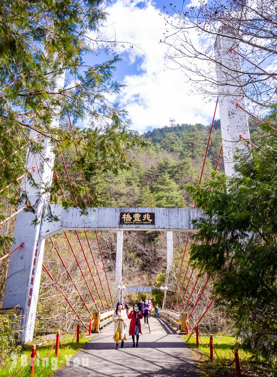 武陵农场樱花季一日游