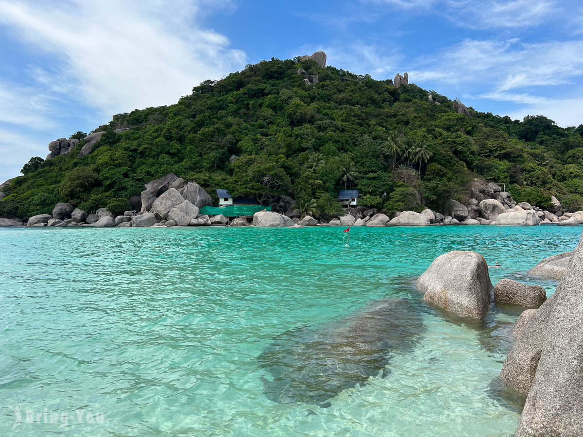 【苏美岛浮潜景点】龟岛 + 南缘岛一日游：搭船交通、浮潜 & 潜水行程介绍