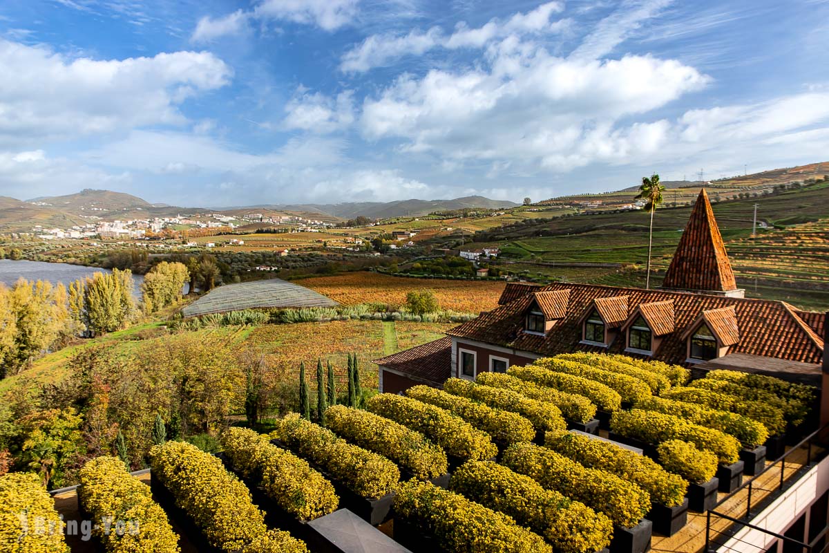 【葡萄牙】杜羅河谷 Douro Valley：醉人秋韻：探訪波特酒發源地葡萄園