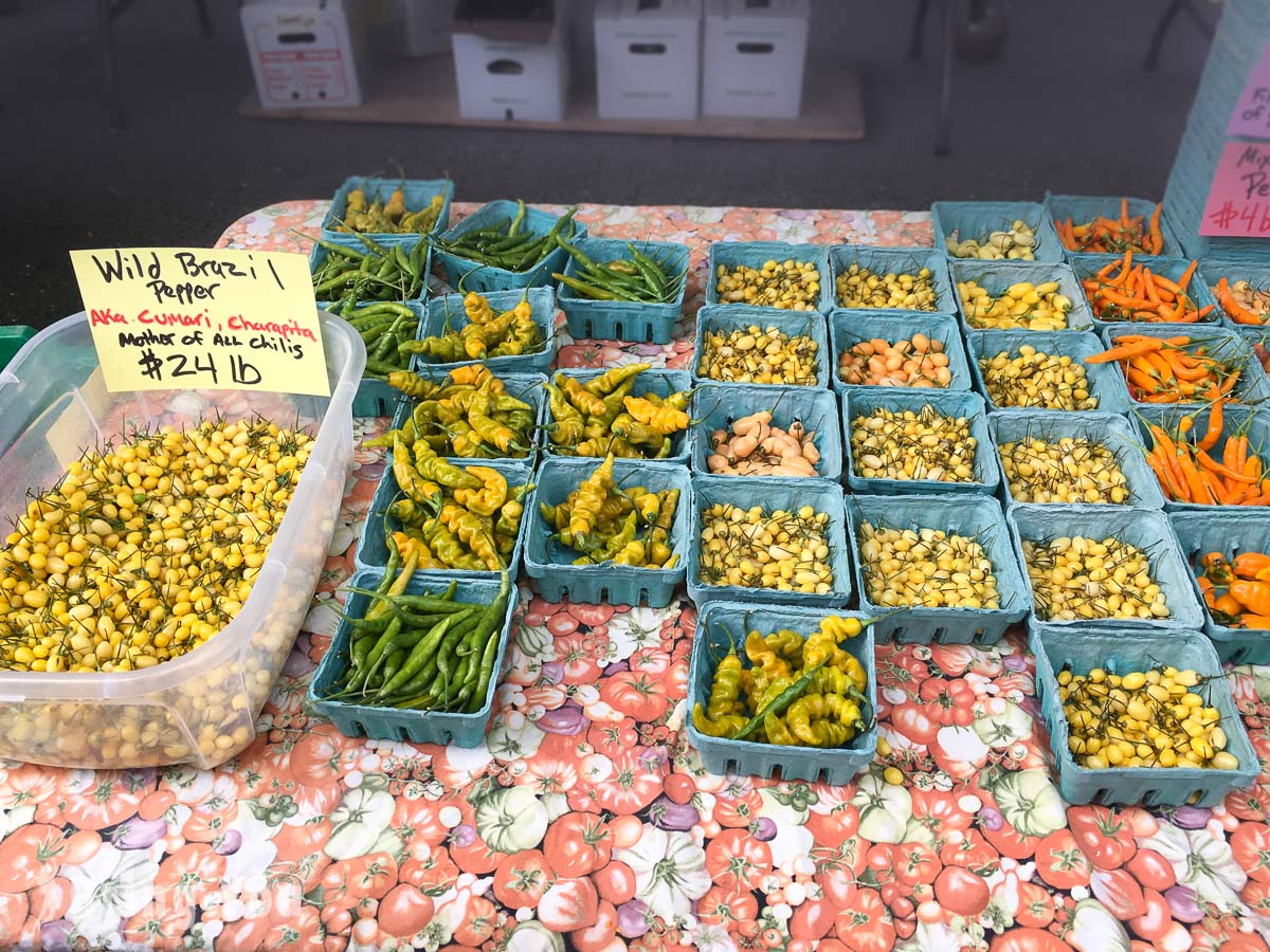 联合广场农夫市集 Union Square Greenmarket