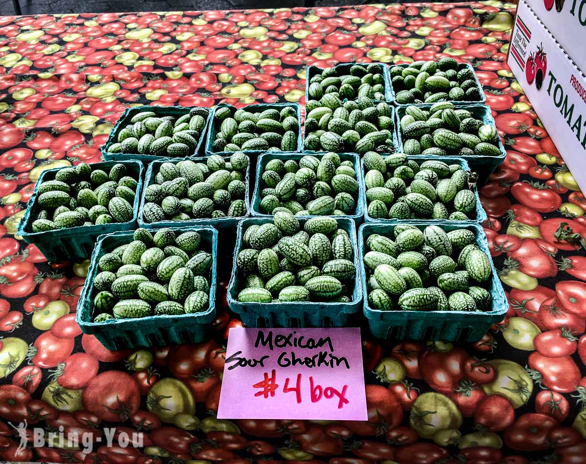 联合广场农夫市集 Union Square Greenmarket