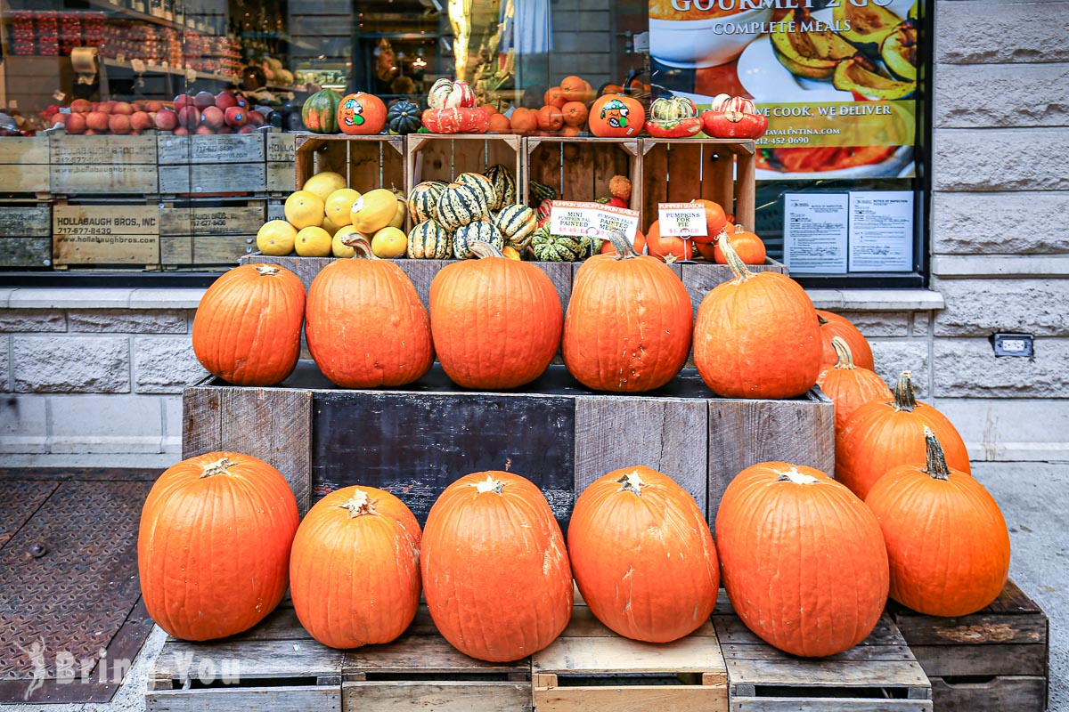 联合广场农夫市集 Union Square Greenmarket