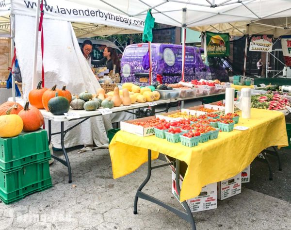 【紐約曼哈頓】聯合廣場農夫市集（Union Square Greenmarket）