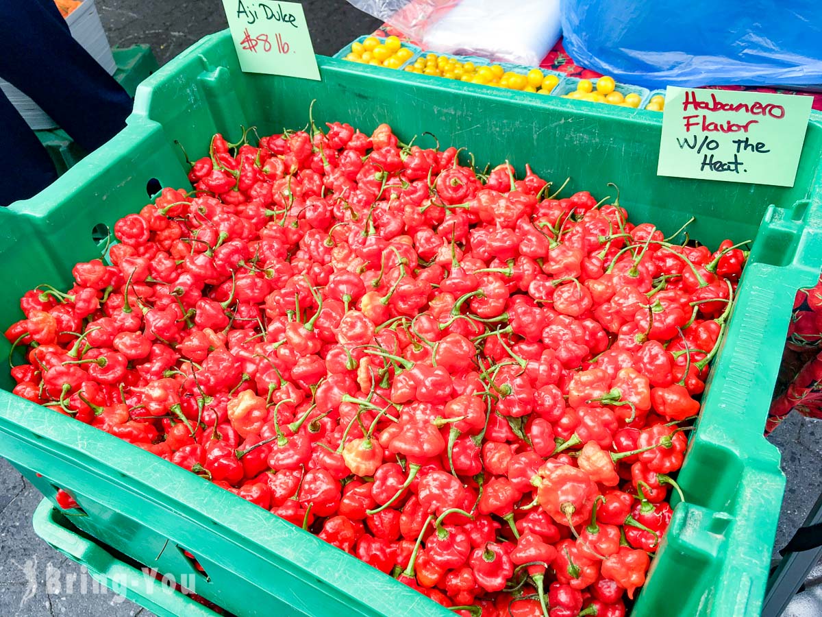 联合广场农夫市集 Union Square Greenmarket