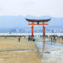 【廣島縣宮島】嚴島神社交通&介紹：海上鳥居與小鹿斑比合影