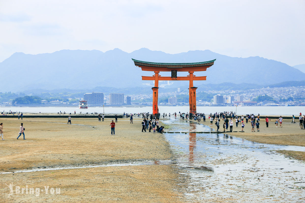 【廣島縣宮島】嚴島神社交通&介紹：海上鳥居與小鹿斑比合影