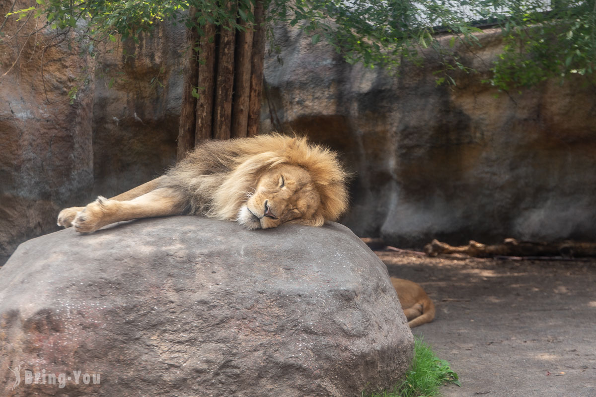 旭山動物園