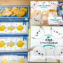 【北海道必買伴手禮攻略】2025 日本北海道推薦好吃零食、點心：札幌、函館、機場都買得到