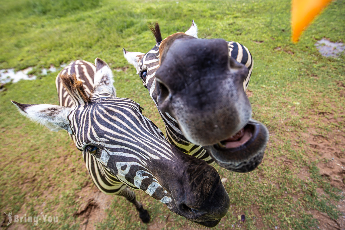 北碧府野生動物園