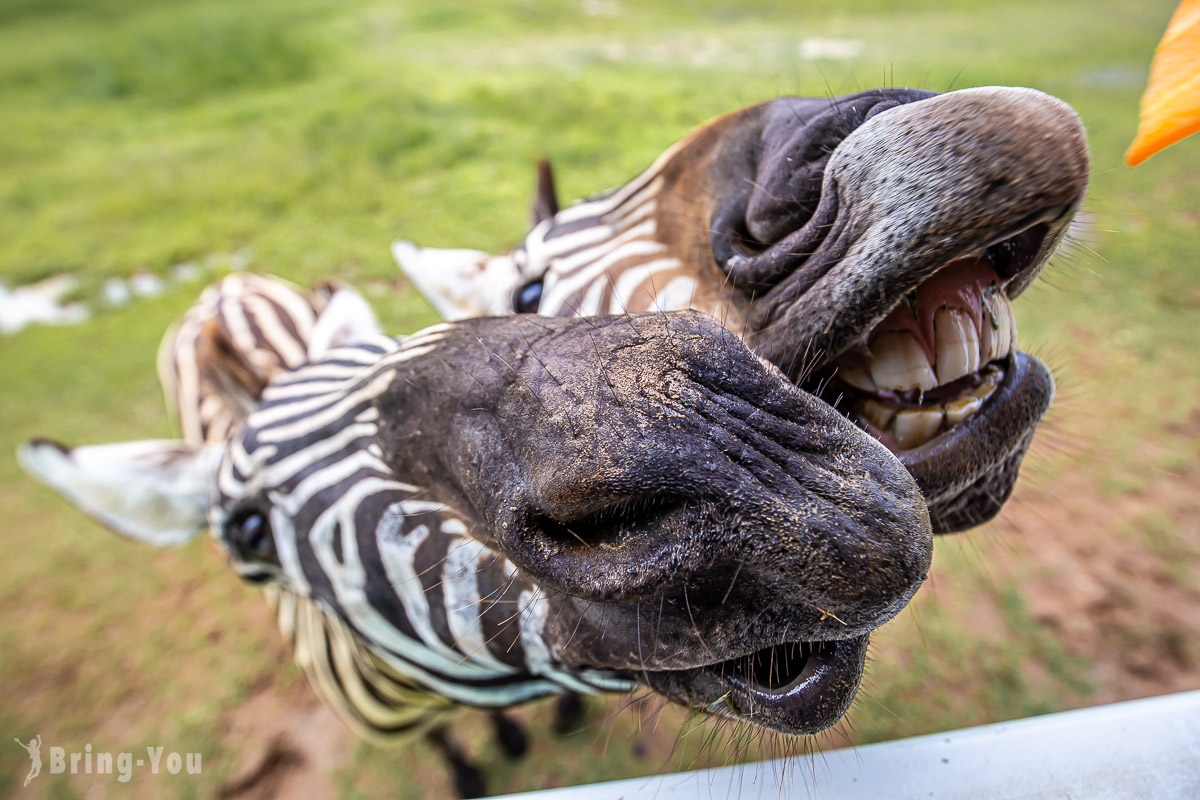 北碧府野生動物園