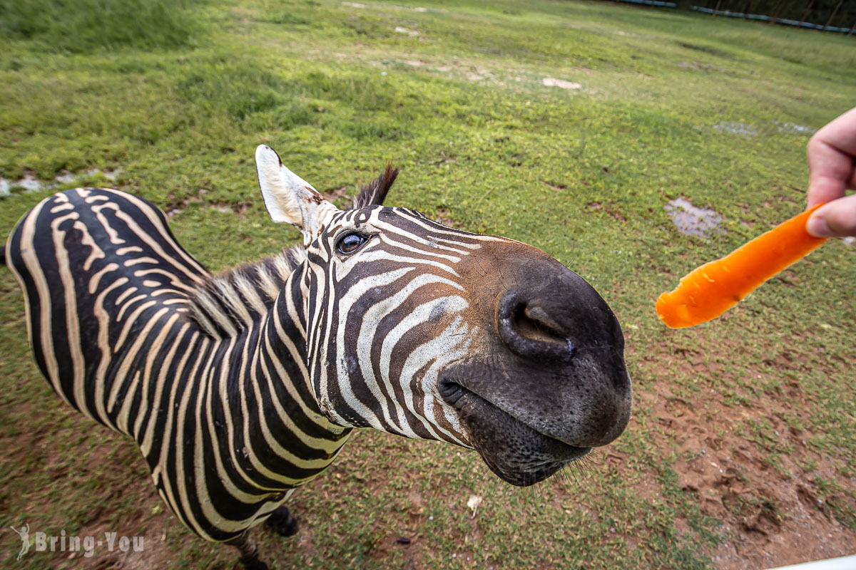 北碧府野生動物園