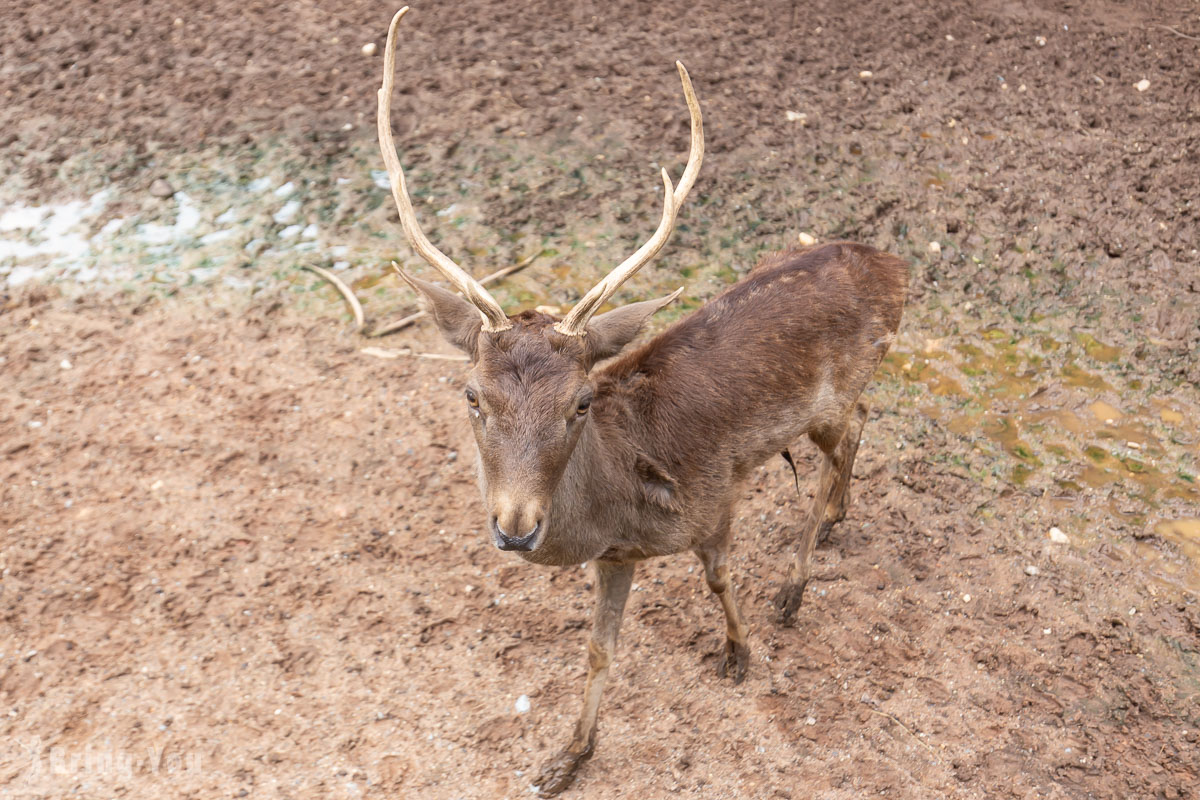 北碧府野生動物園