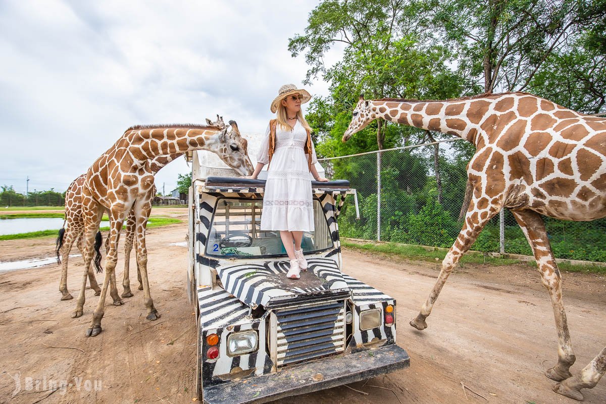 北碧府野生動物園吉普車長頸鹿合照