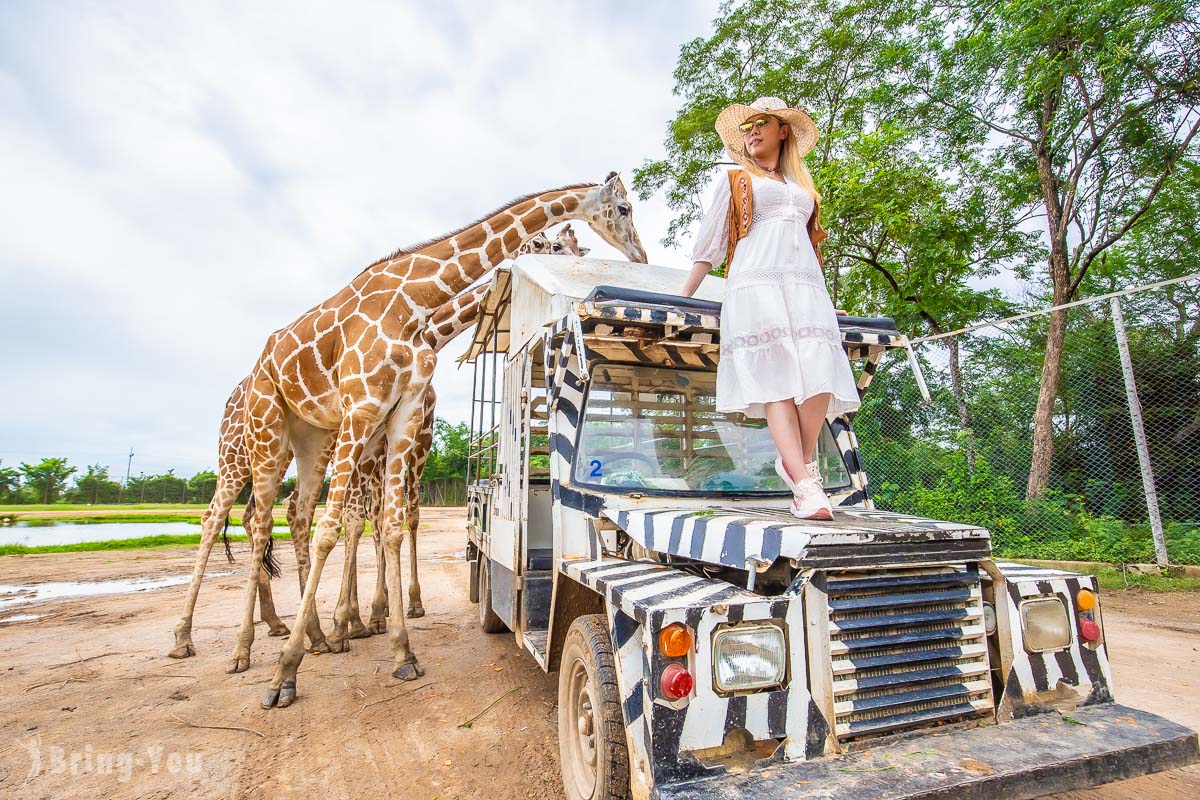 北碧府野生動物園吉普車長頸鹿合照