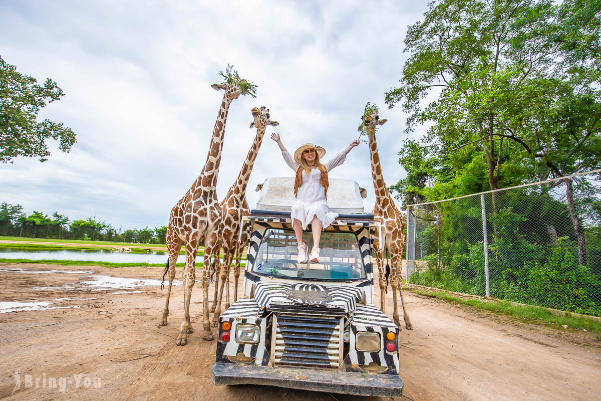 北碧府野生動物園吉普車長頸鹿合照