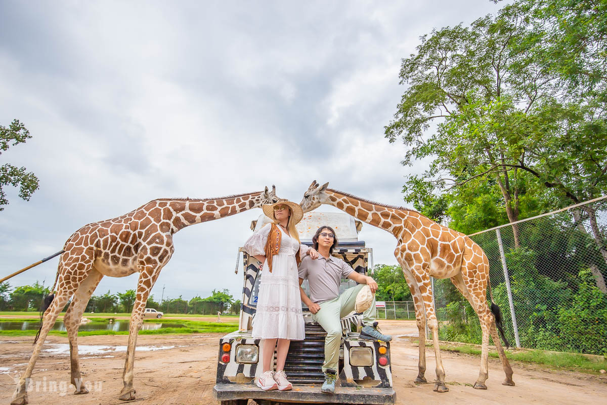 北碧府野生動物園一日遊：長頸鹿合照預約 & 包車交通全攻略