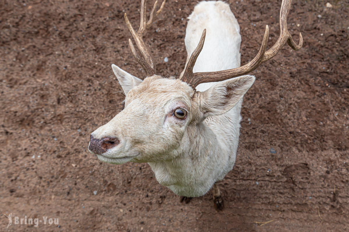 北碧府野生動物園