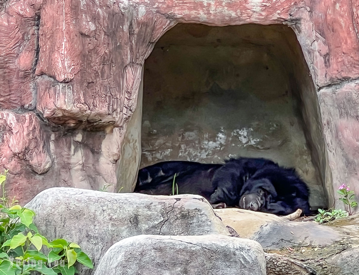 北碧府野生動物園