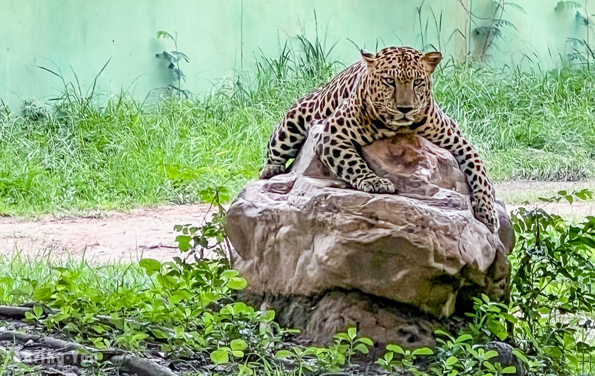 北碧府野生動物園