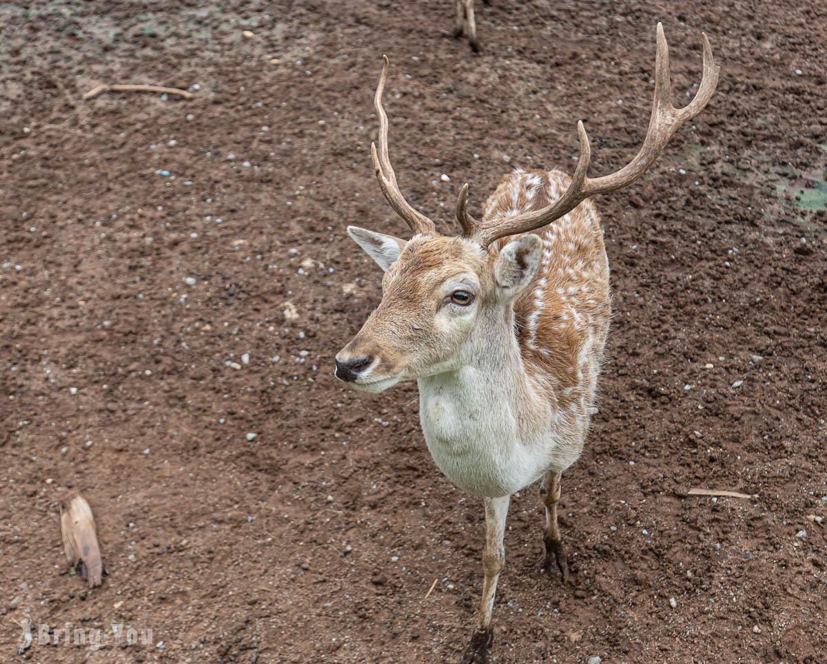 北碧府野生動物園