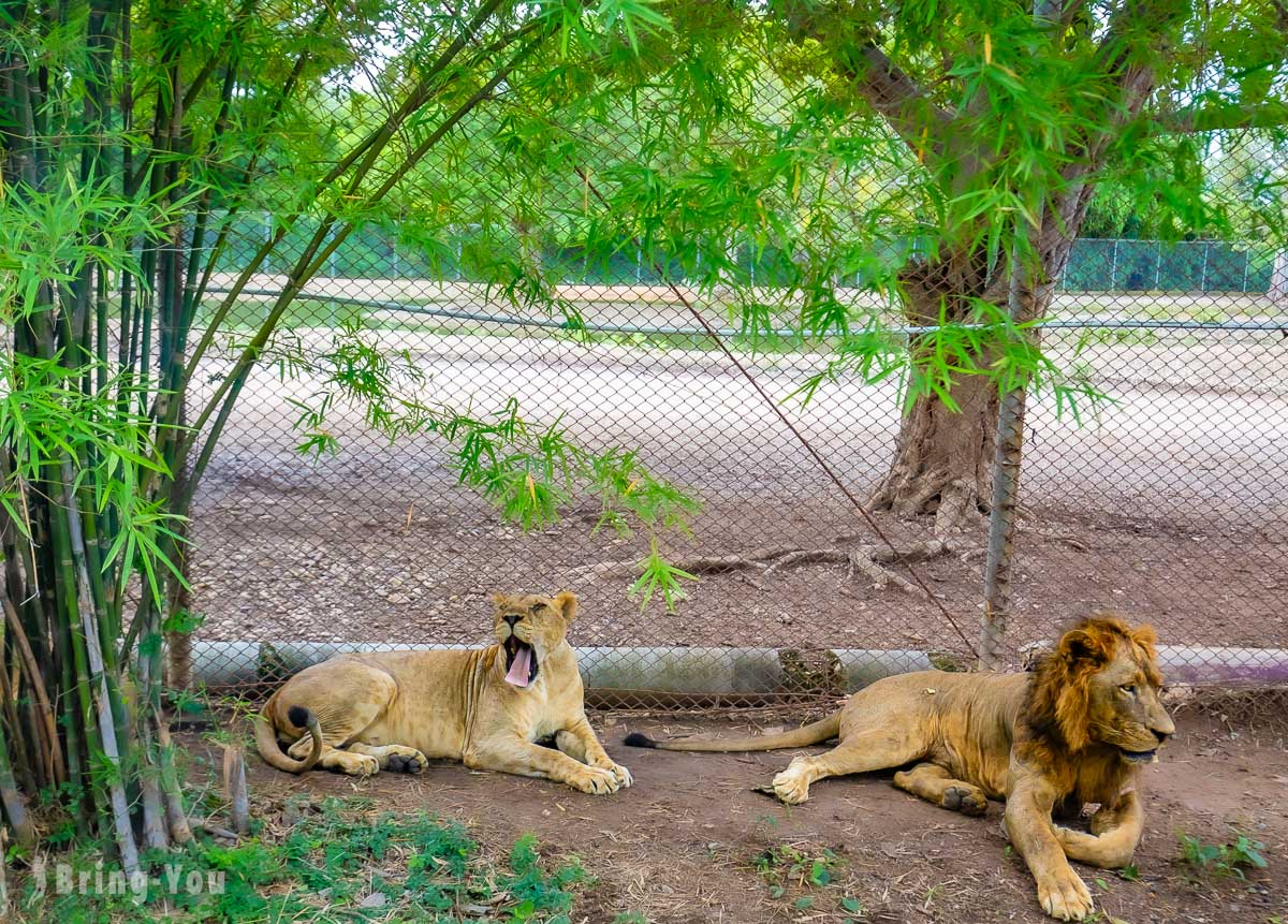 北碧府野生動物園