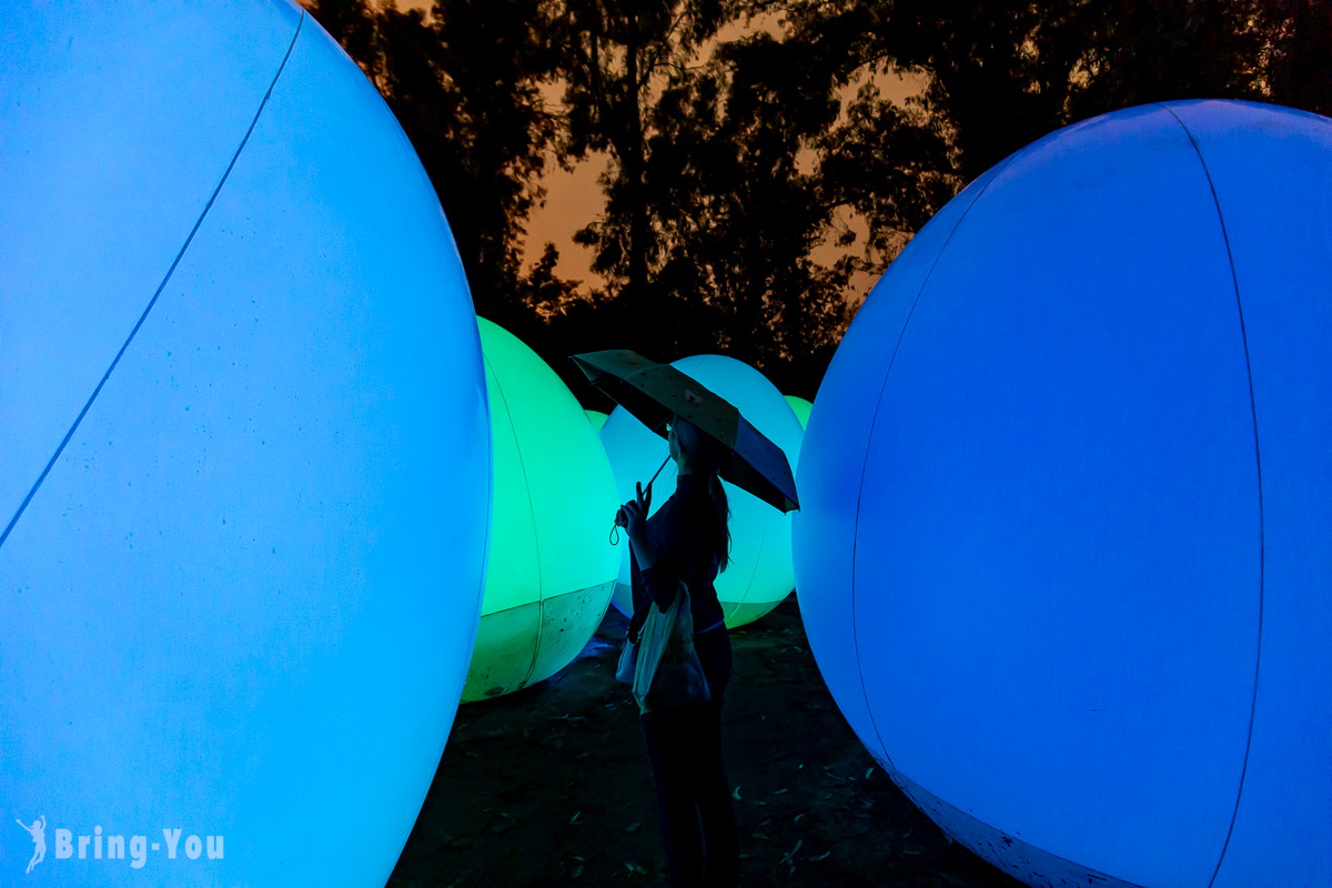 teamLab 長居植物園夜間常設展