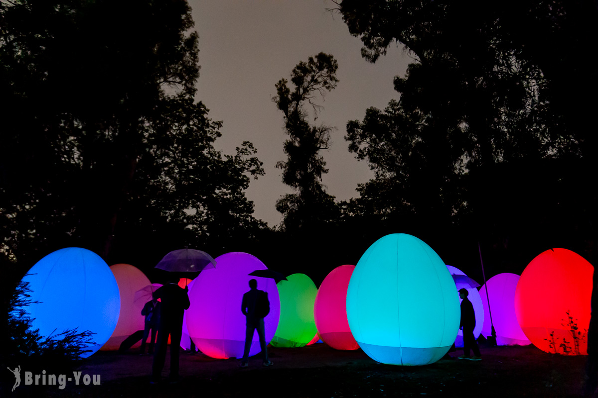 teamLab 長居植物園夜間常設展