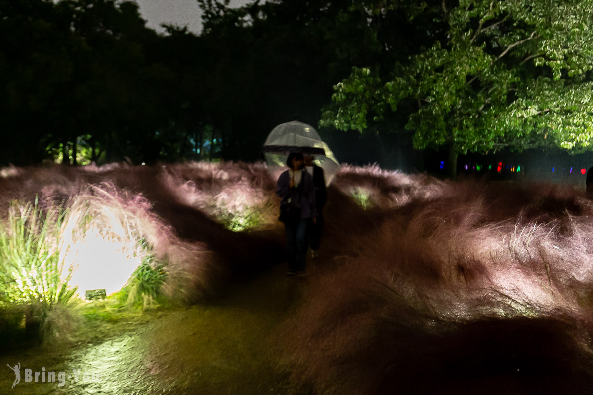 teamLab 長居植物園夜間常設展