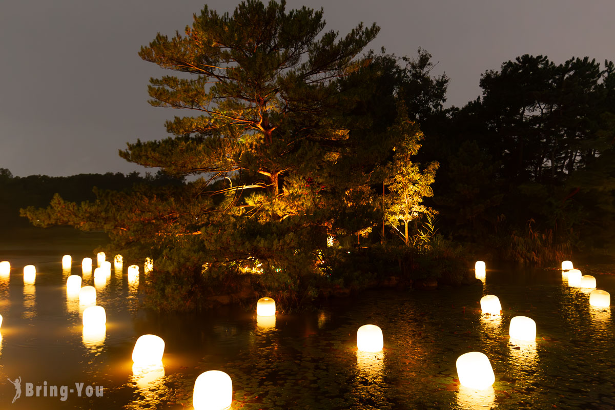 teamLab 長居植物園夜間常設展