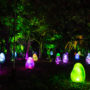 【大阪晚上景点】teamLab 长居植物园夜间常设展「参观攻略」：超梦幻！树林里的光影艺术展