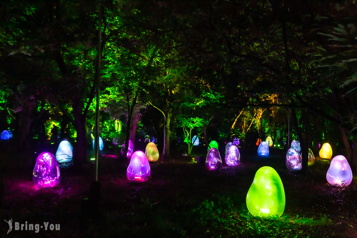 【大阪晚上景點】teamLab 長居植物園夜間常設展「參觀攻略」：超夢幻！樹林裡的光影藝術展