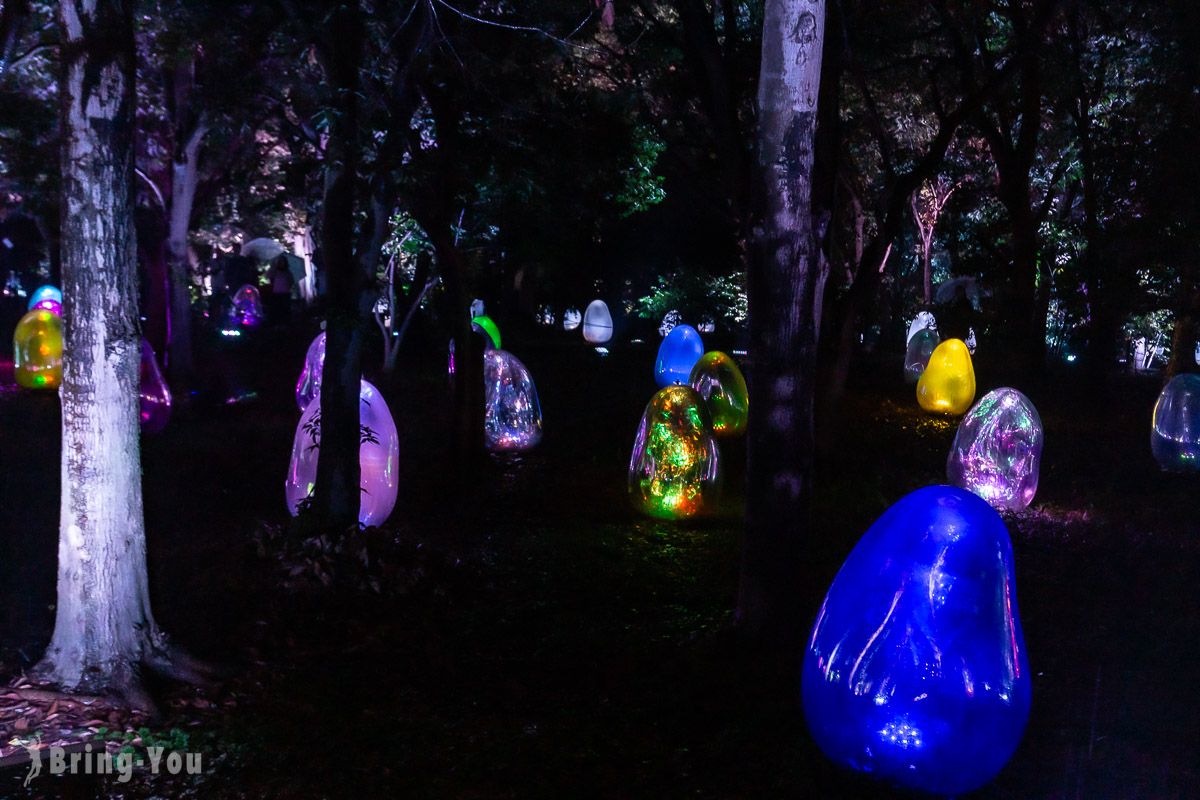 teamLab 长居植物园夜间常设展