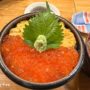 【函馆晚餐推荐】居酒屋 海光房：现捞海产超新鲜，活乌贼这里也吃得到