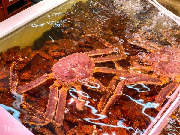 【小樽大啖平價海鮮丼、帝王蟹好去處】小樽三角市場：滝波食堂、武田鮮魚店都是必吃
