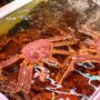 【小樽大啖平價海鮮丼、帝王蟹好去處】小樽三角市場：滝波食堂、武田鮮魚店都是必吃