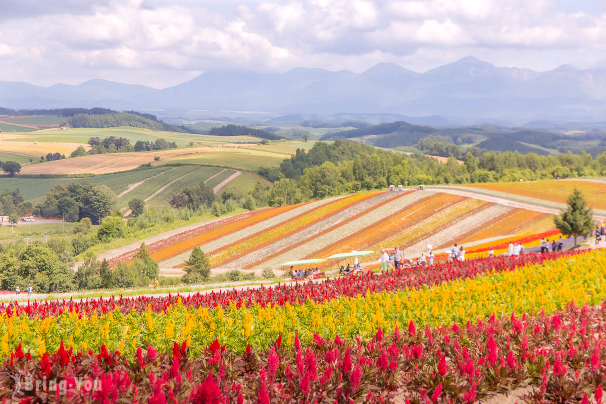 【北海道自由行】不自駕旅遊全攻略：札幌、函館、富良野、洞爺湖景點行程規劃一篇搞定