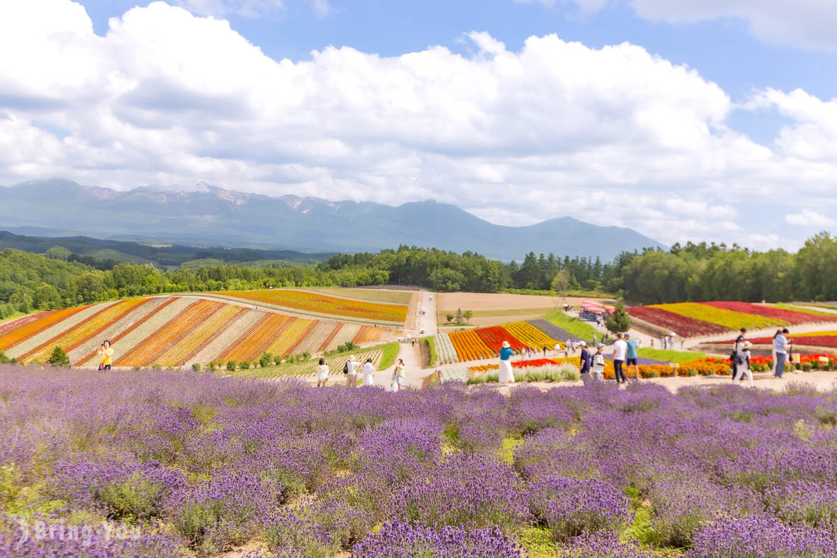 「夏天」的北海道自由行行程路线规划：「不自驾」玩遍薰衣草等夏天景点（七月来必看）