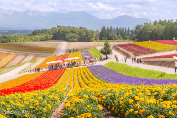 Hokkaido Biei s Must Visit Attraction Shikisai No Oka A Patchwork hokkaido-biei-s-must-visit-attraction-shikisai-no-oka-a-patchwork