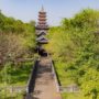 【寧平】白亭寺參觀攻略：越南最大寺廟介紹