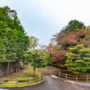 【弘前公園楓葉】青森弘前城跡：交通、櫻花滿開時間、附近美食推薦