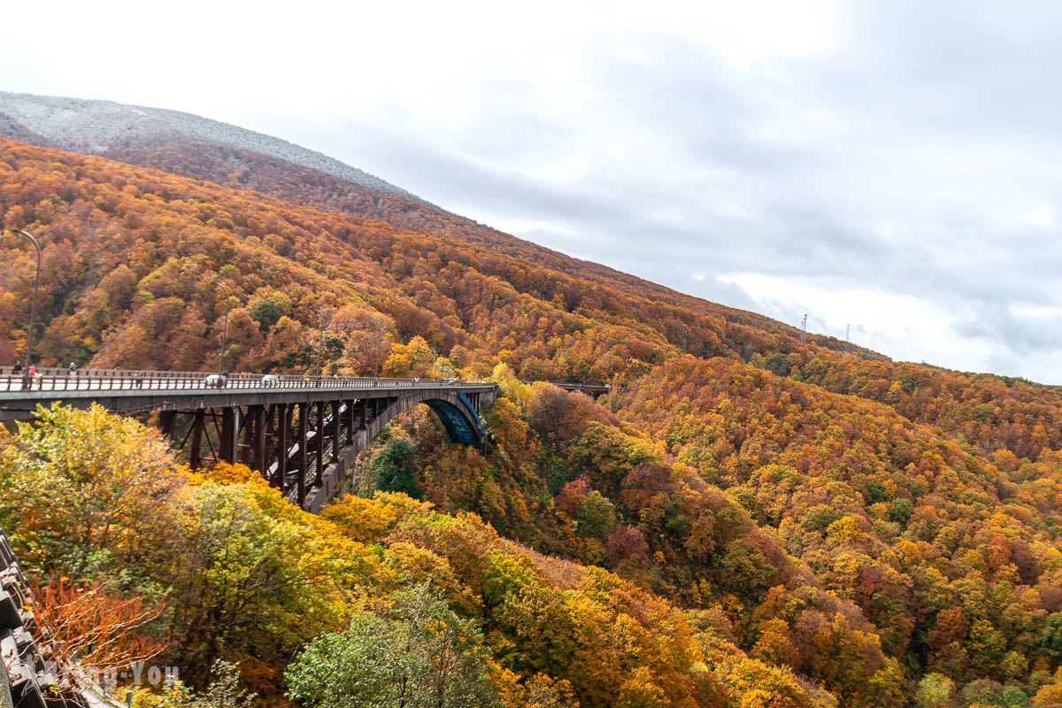 【青森縣超震撼紅葉景點】城倉大橋：交通方式 & 一日遊行程安排建議